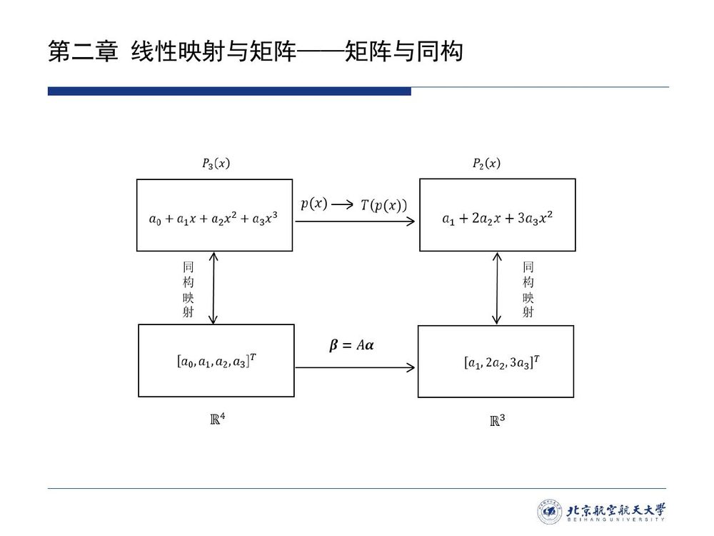 课件 · 微分变换 P₃(x) → P₂(x) 与 R⁴ → R³ 的可交换图
